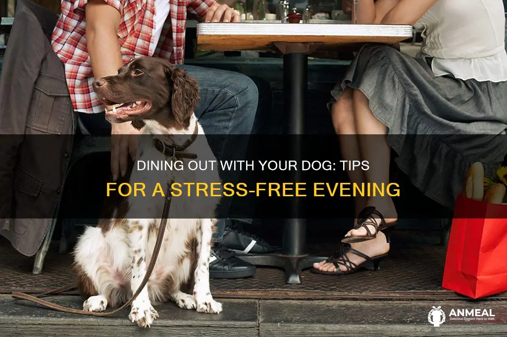 how to go to dinner when you hqve a dog