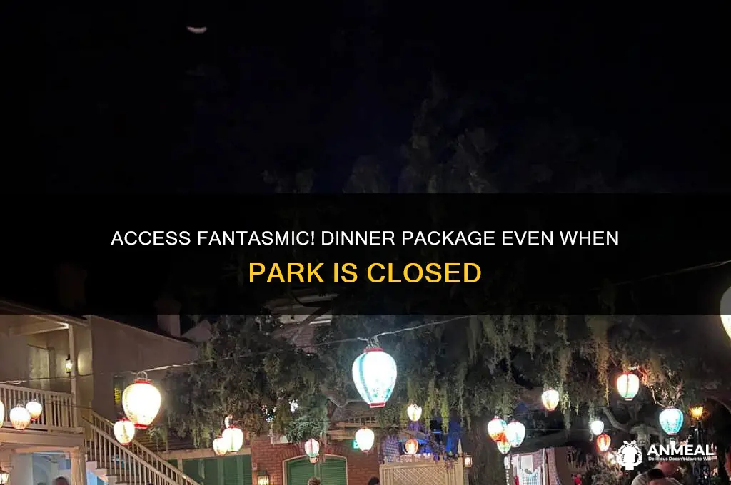 how to go to fantasmic dinner if park closed