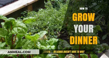 Grow Your Own Dinner: A Beginner’s Guide to Edible Gardening