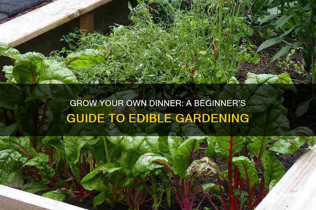 how to grow your dinner