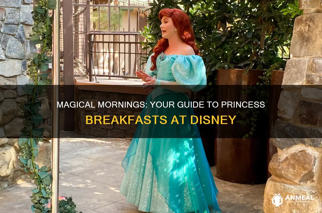 how to have breakfast with a princess at disney