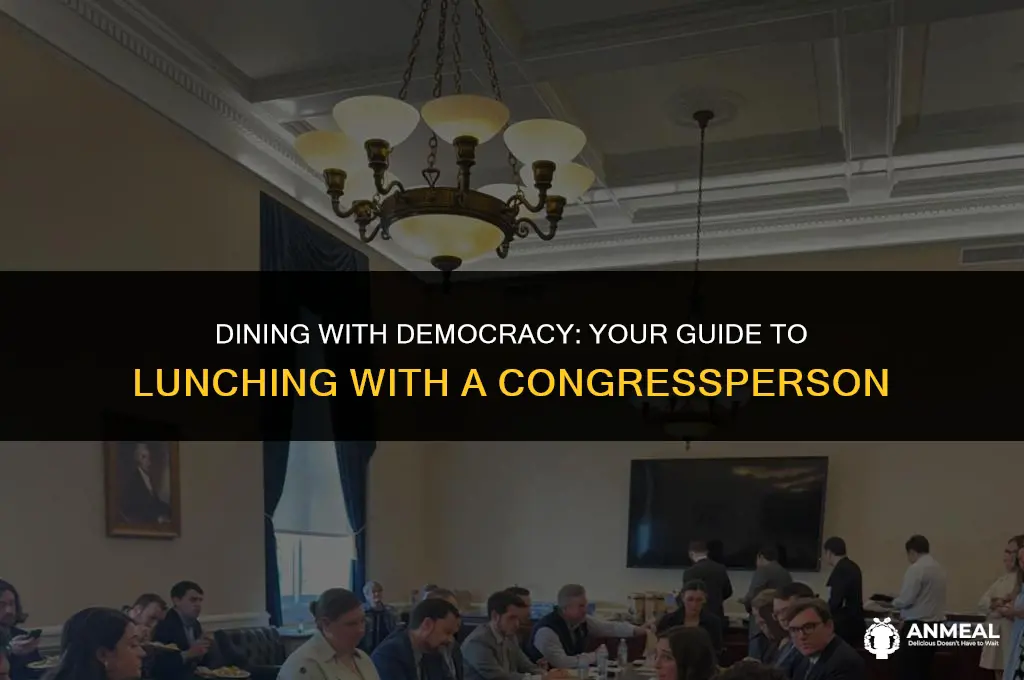 how to have lunch with your congress person