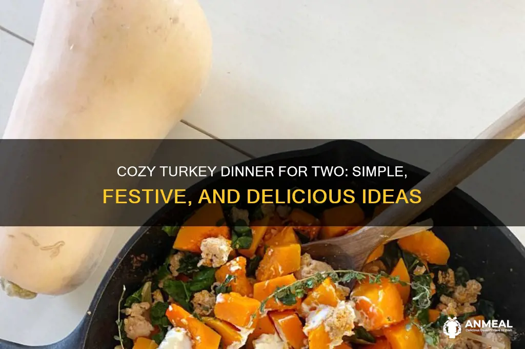 how to have turkey dinner for two