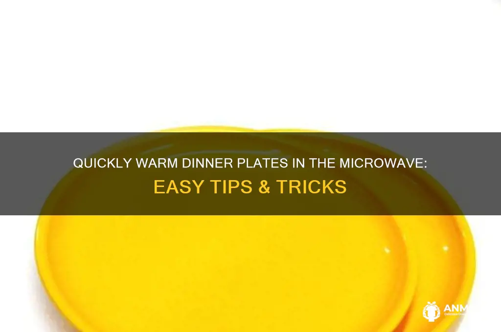 how to heat dinner plates in microwave