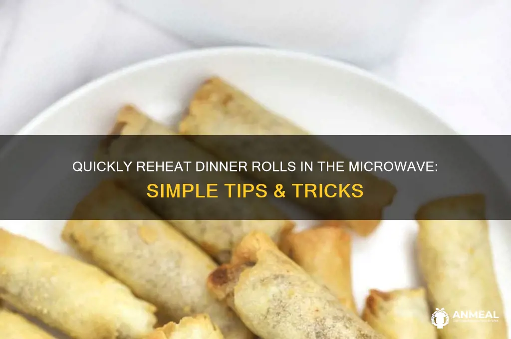 how to heat dinner rolls in microwave