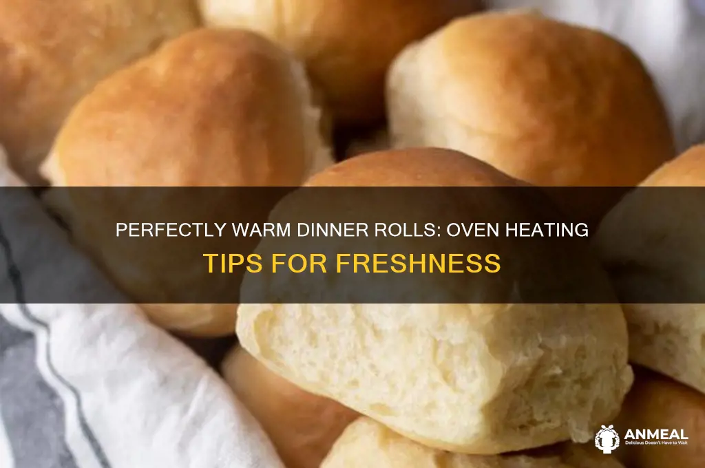 how to heat dinner rolls in the oven