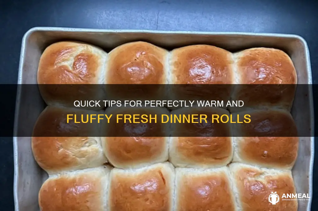 how to heat fresh dinner rolls