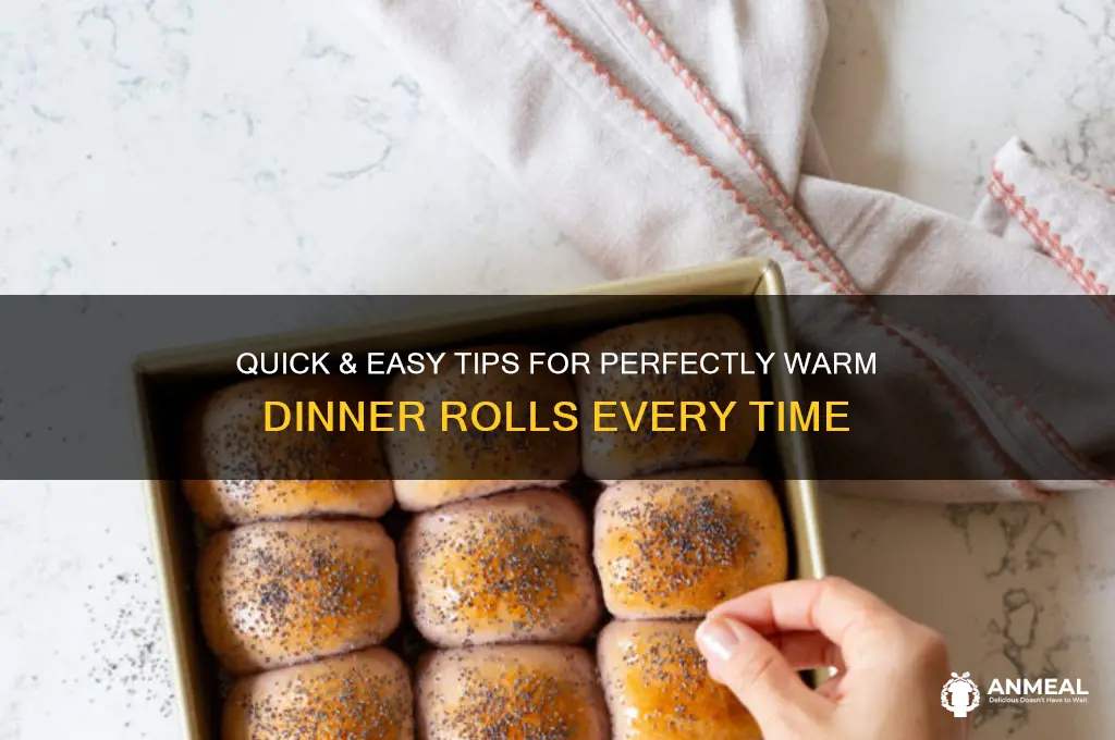 how to heat up dinner rolls