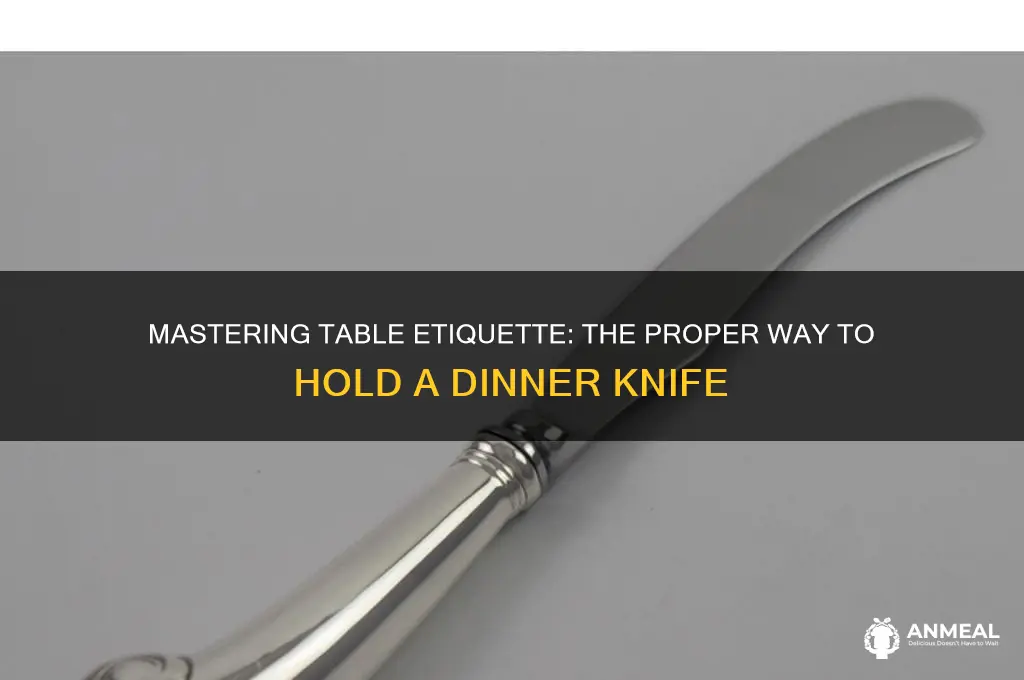 how to hold a dinner knife