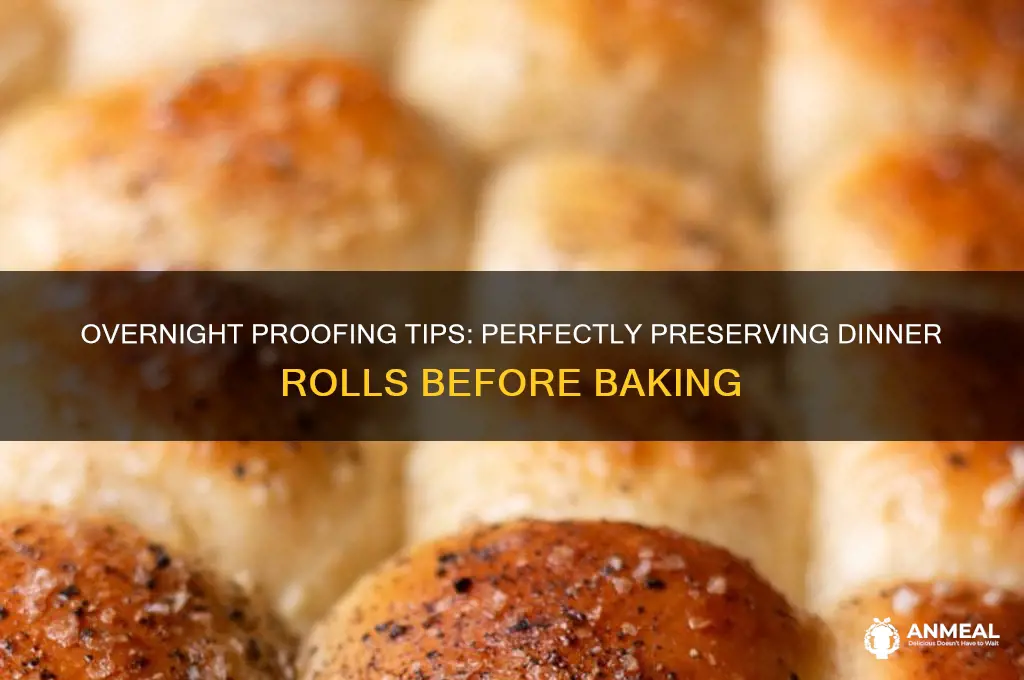 how to hold dinner rolls overnight before baking them