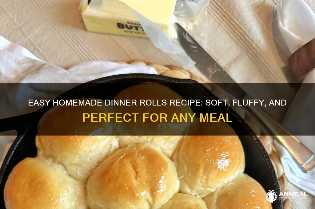 how to homemade dinner rolls