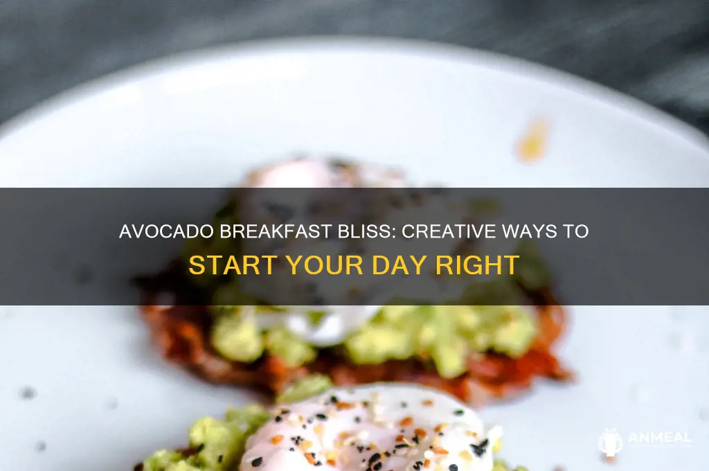 how to incorporate avocado into breakfast
