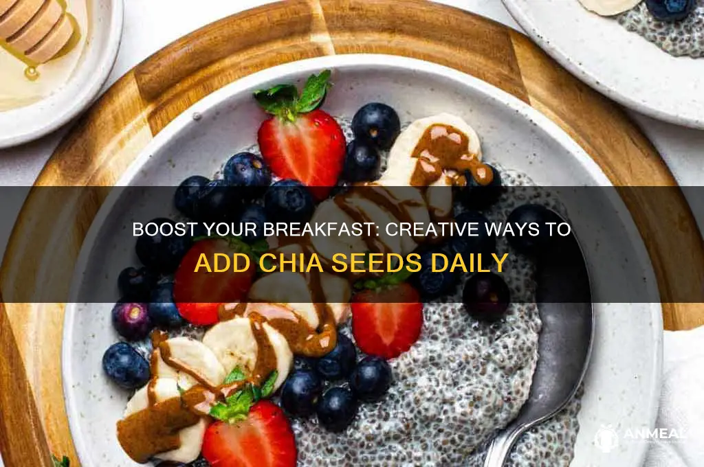 how to incorporate chia seeds into breakfast