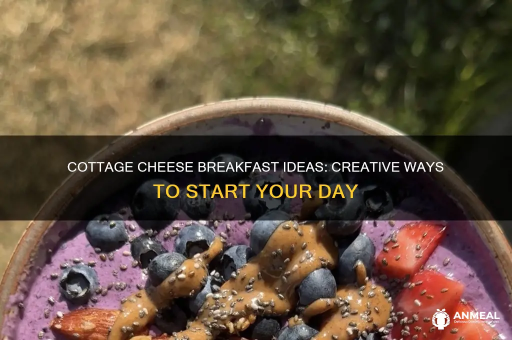 how to incorporate cottage cheese into breakfast