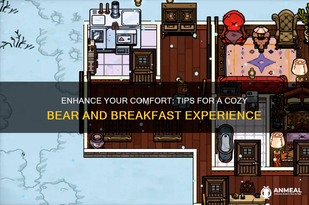 how to increase comfort bear and breakfast