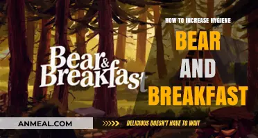 Boost Hygiene in Your Bear and Breakfast: Essential Tips for Cleanliness