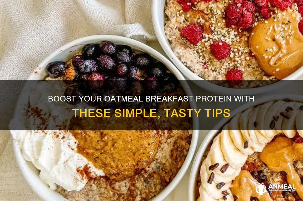how to increase protein in oatmeal breakfast