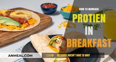 Boost Your Morning Protein: Easy Breakfast Ideas for a Healthy Start