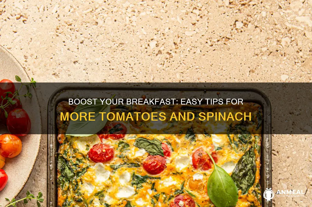 how to increase tomatos and spinach for breakfast