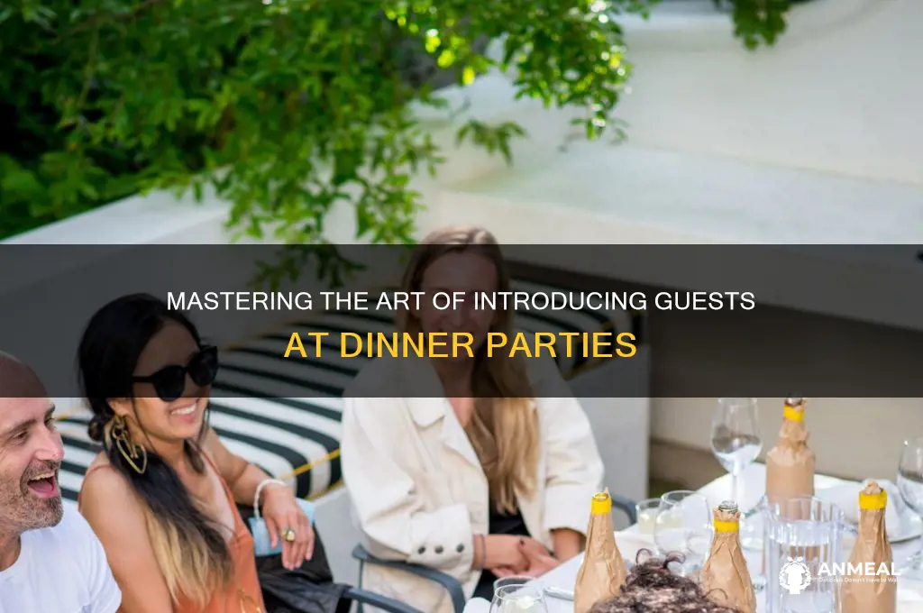 how to introduce a guest at a dinner party