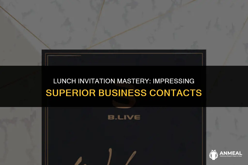 how to invite superior business person to lunch