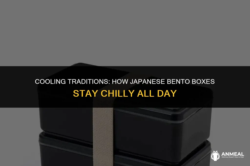 how to japanese keep their lunches cold
