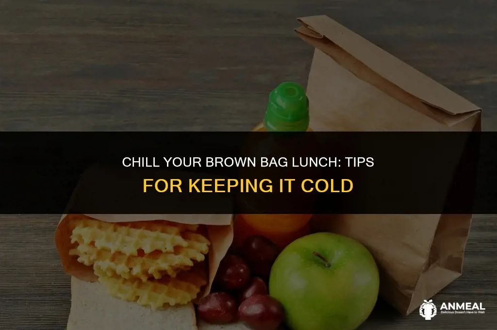 how to keep a brown bag lunch cold