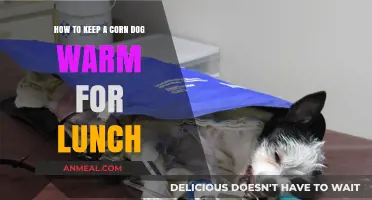 Savor the Flavor: Ingenious Tips to Keep Your Corn Dog Warm for Lunch