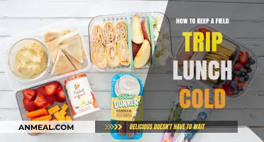 Chill Tips: Keeping Your Field Trip Lunch Fresh and Cold