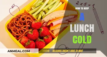 Chill Your Lunch: Tips for Keeping Meals Fresh and Cold