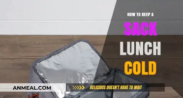 Chill Your Sack Lunch: Tips for Keeping It Cold All Day