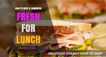 The Ultimate Guide to Keeping Your Sandwich Fresh for Lunch