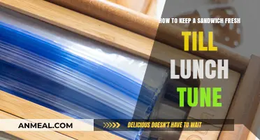 Sandwich Savvy: Tips to Keep Your Lunch Fresh and Delicious