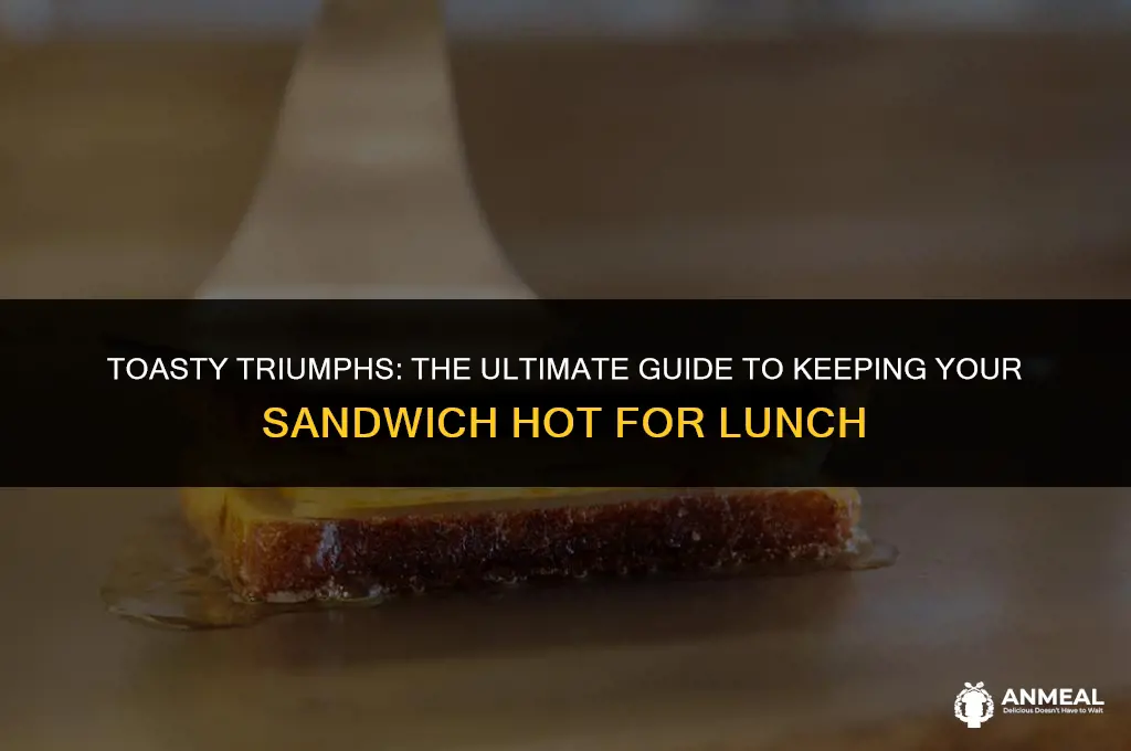 how to keep a sandwich hot for lunch