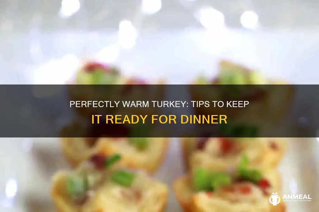 how to keep a turkey warm until dinner