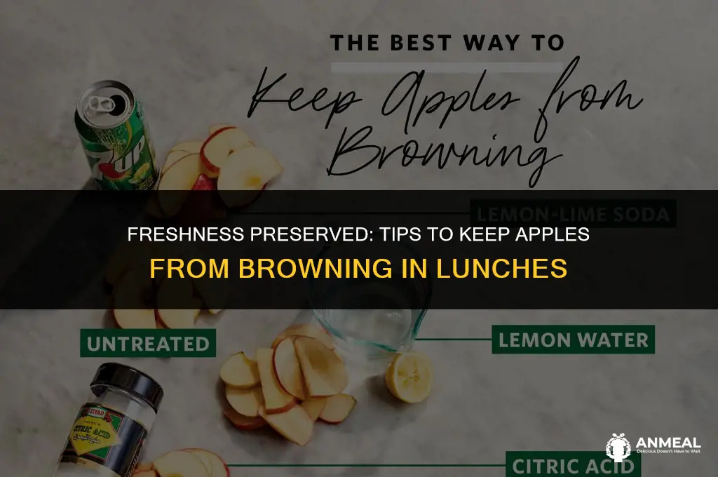 how to keep apple from turning brown in lunch