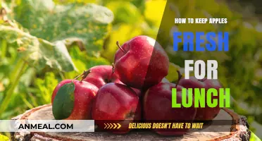 Crisp and Fresh: The Ultimate Guide to Keeping Apples Fresh for Lunch
