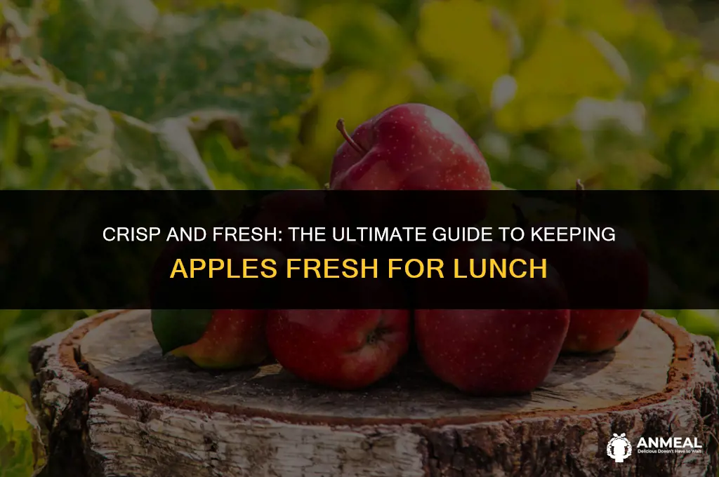 how to keep apples fresh for lunch