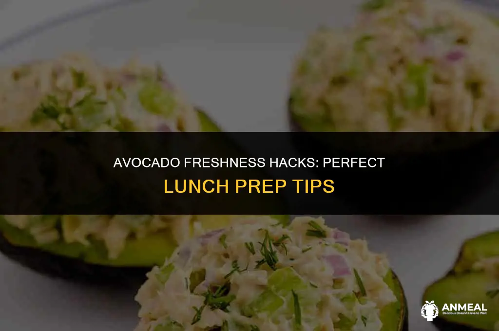 how to keep avocado fresh for lunch