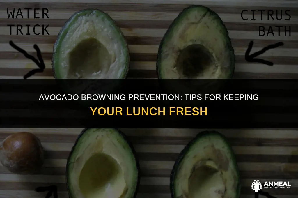 how to keep avocado from browning after cutting for lunch