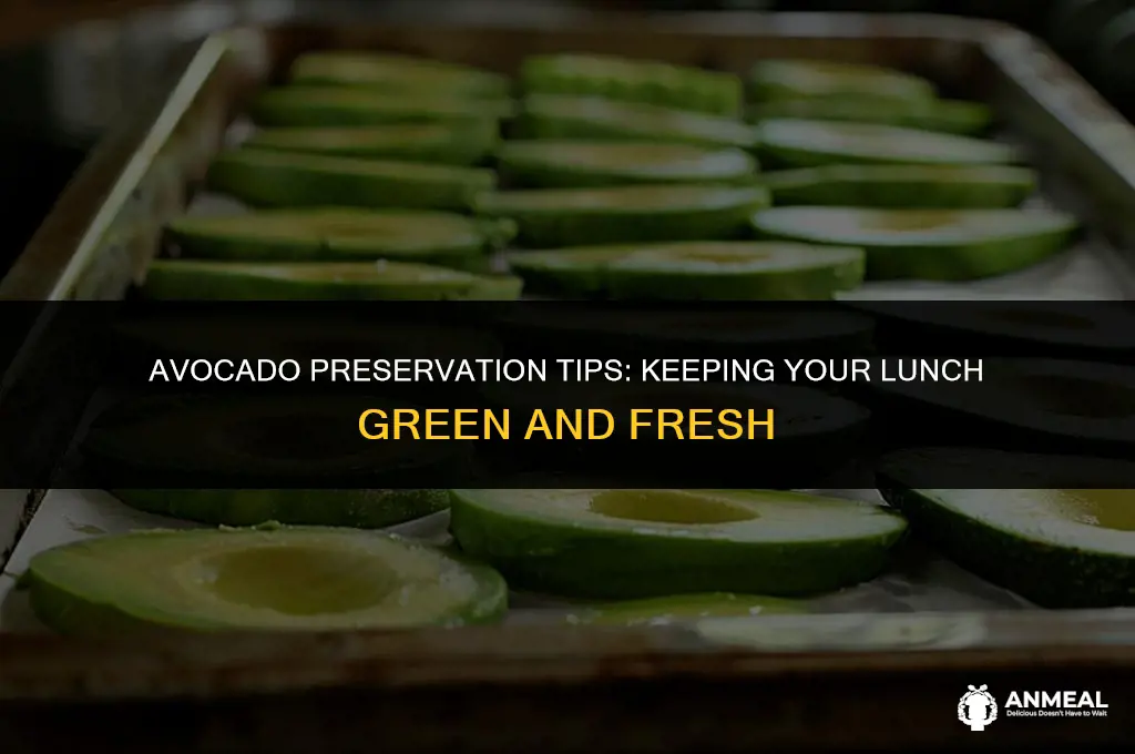 how to keep avocado from turning brown in lunch