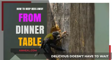 Effective Tips to Keep Bees Away from Your Dinner Table