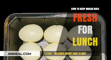 Egg-cellent Tips: Keeping Boiled Eggs Fresh for Lunchtime Delight