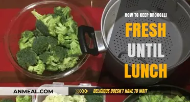 Staying Green: Tips to Keep Your Broccoli Fresh Until Lunchtime