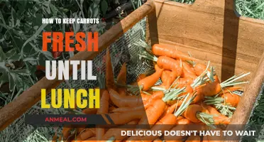 Crunchy Carrots: Tips to Keep Them Fresh Until Lunchtime