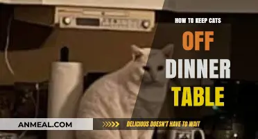 Effective Strategies to Keep Cats Off Your Dinner Table