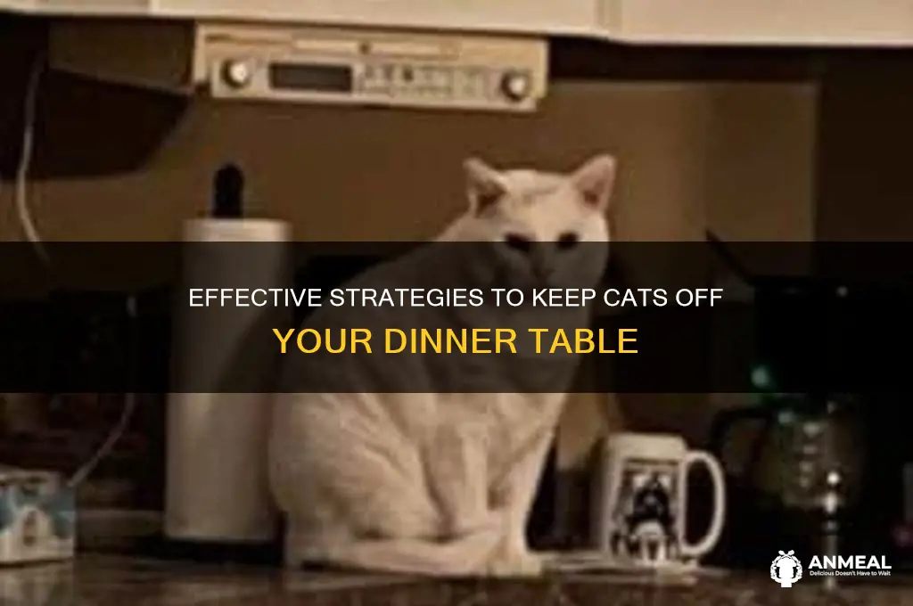 how to keep cats off dinner table