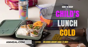 Chill Tips: Keeping Your Child's Lunch Cold and Fresh