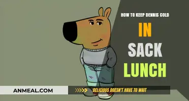 Chill Dennis's Lunch: Tips for a Cool Sack Lunch