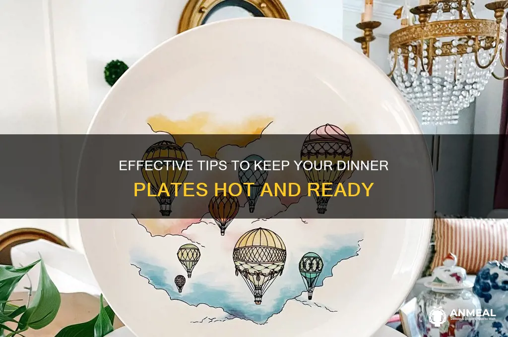 how to keep dinner plates hot